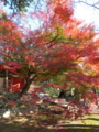 [東福寺]