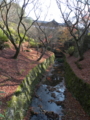 [東福寺]