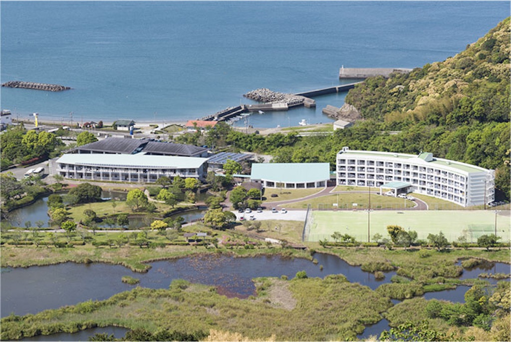 高知県高校野球四天王って何 いつか役に立つかもしれないムダ知識