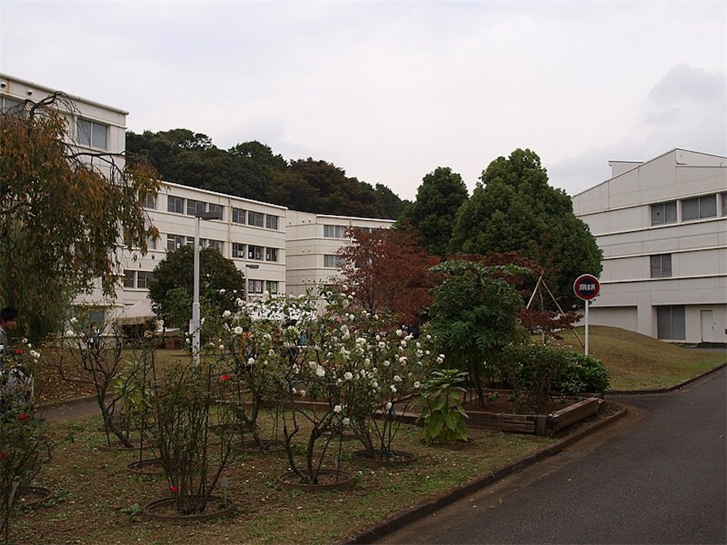 f:id:mudachishiki4510:20210618112003j:image f:id:mudachishiki4510:20210618112003j:image