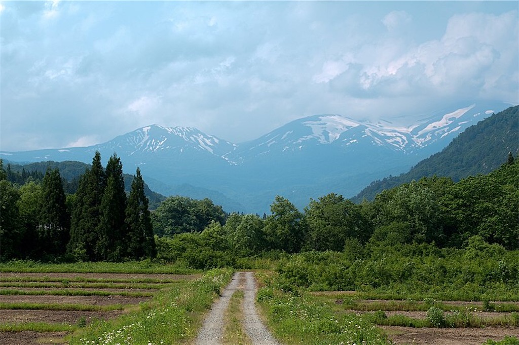 f:id:mudachishiki4510:20210704111500j:image