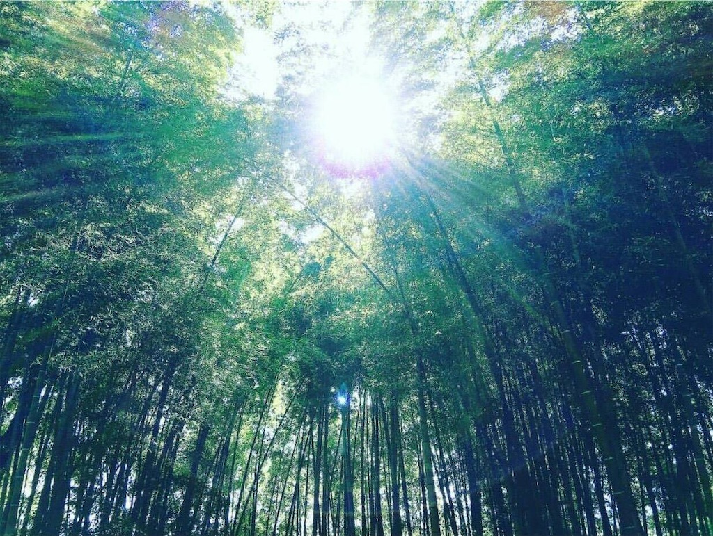 f:id:mudachishiki4510:20211130064424j:image