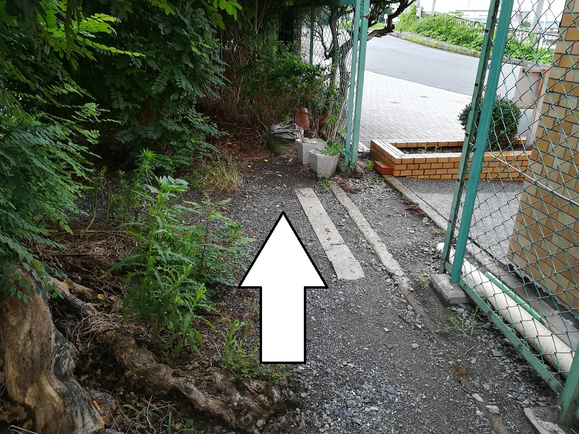 f:id:muen_desire:20190723221730j:plain