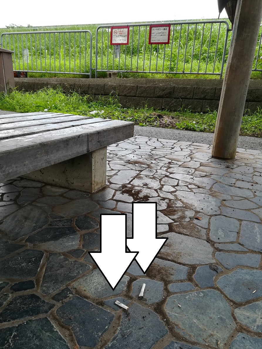f:id:muen_desire:20190905231635j:plain:w300