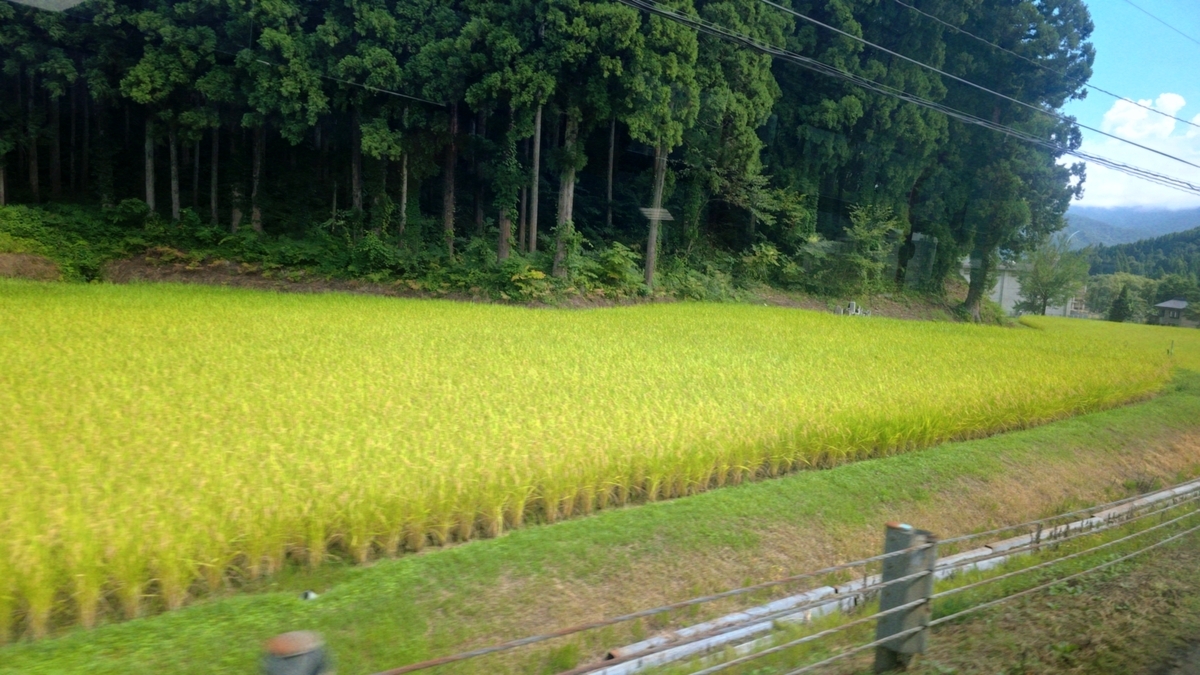 車窓からの風景