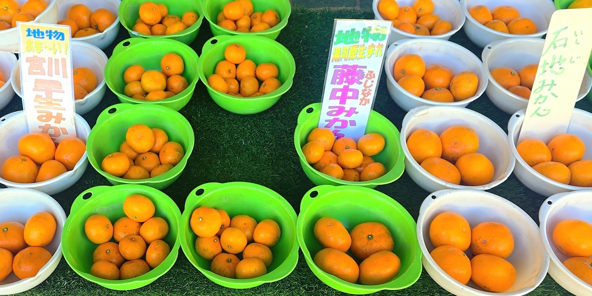 藤中みかん