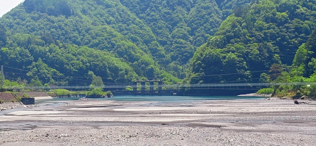 水のある方へ進む