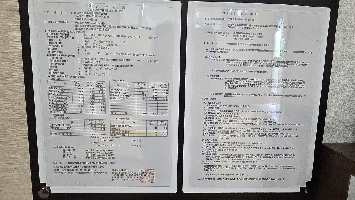 万座ホテルジュラク】硫黄濃度日本一！成分140倍超えのツンデレ名湯と
