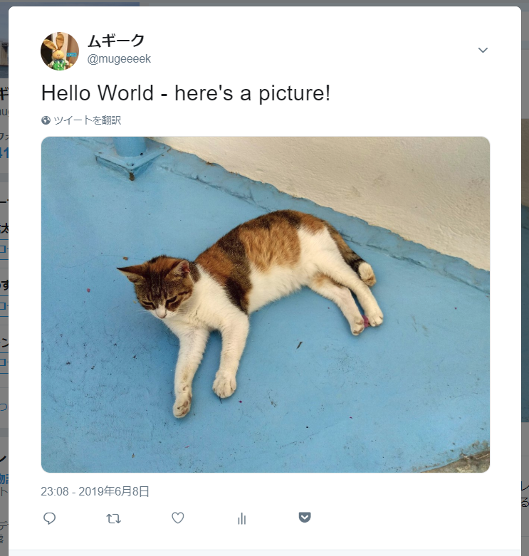 f:id:mugeek:20190616154902p:plain f:id:mugeek:20190616154902p:plain