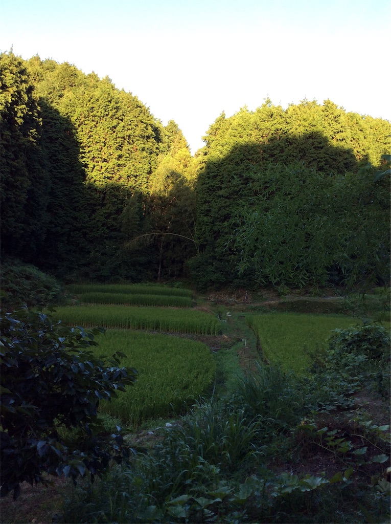 f:id:mugen0208:20190814062402j:image f:id:mugen0208:20190814062402j:image