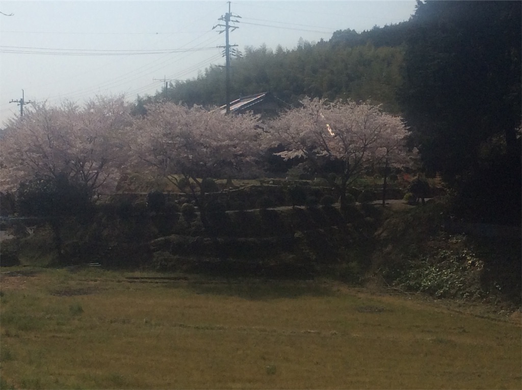 f:id:mugen0208:20200409101412j:image