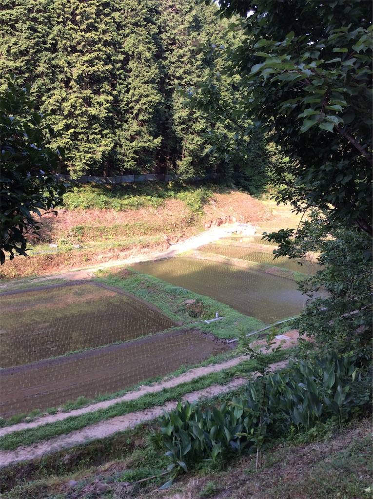 f:id:mugen0208:20200607085921j:image f:id:mugen0208:20200607085921j:image