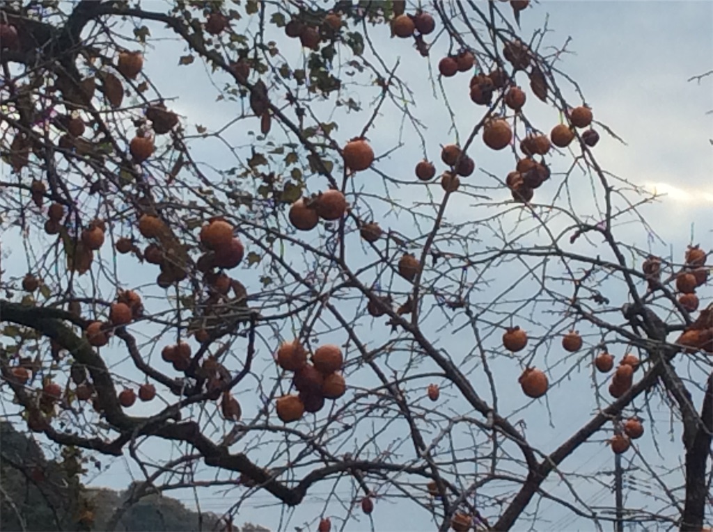 f:id:mugen0208:20201123090558j:image
