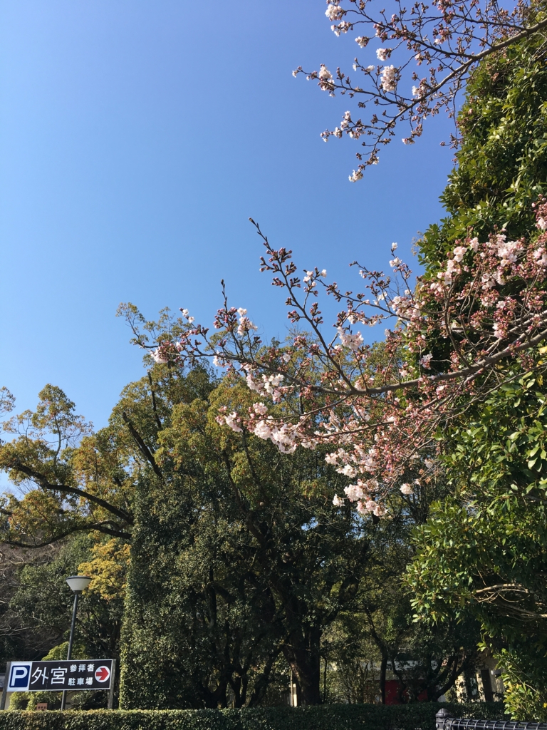 f:id:mugi0702:20170405174228j:plain f:id:mugi0702:20170405174228j:plain