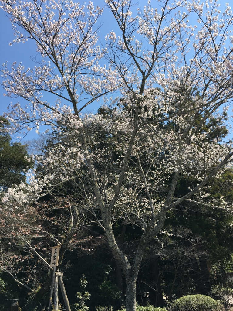 f:id:mugi0702:20170405195955j:plain