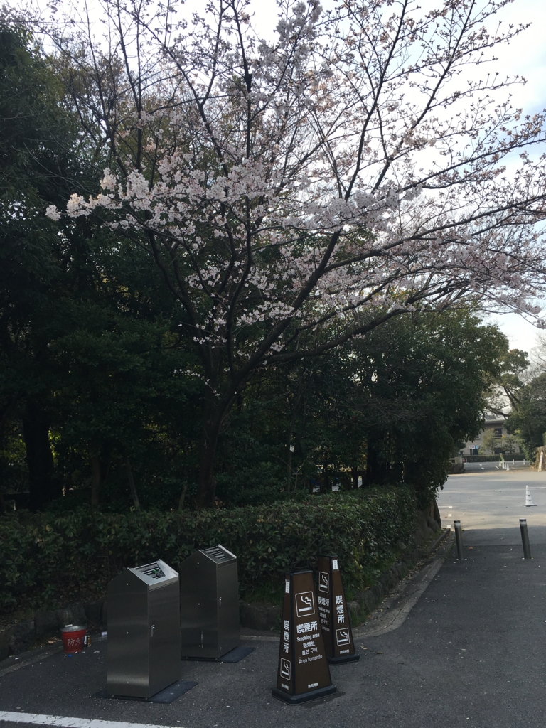f:id:mugi0702:20170406231030j:plain