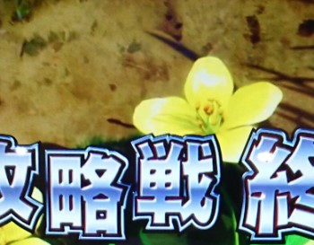 f:id:mugi_1023:20200105075017j:plain