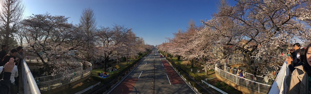 f:id:mugibatake40ro:20180326171420j:plain f:id:mugibatake40ro:20180326171420j:plain