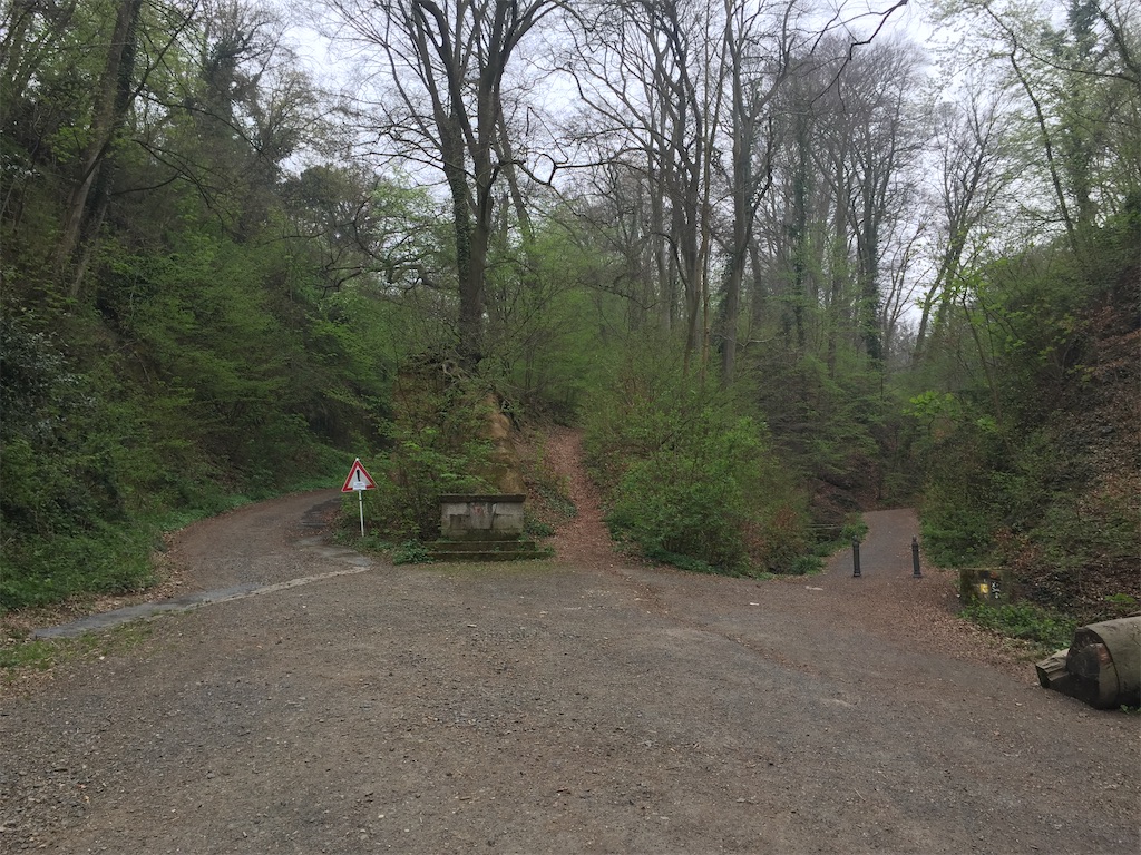 f:id:mugichaman:20210509190223j:image