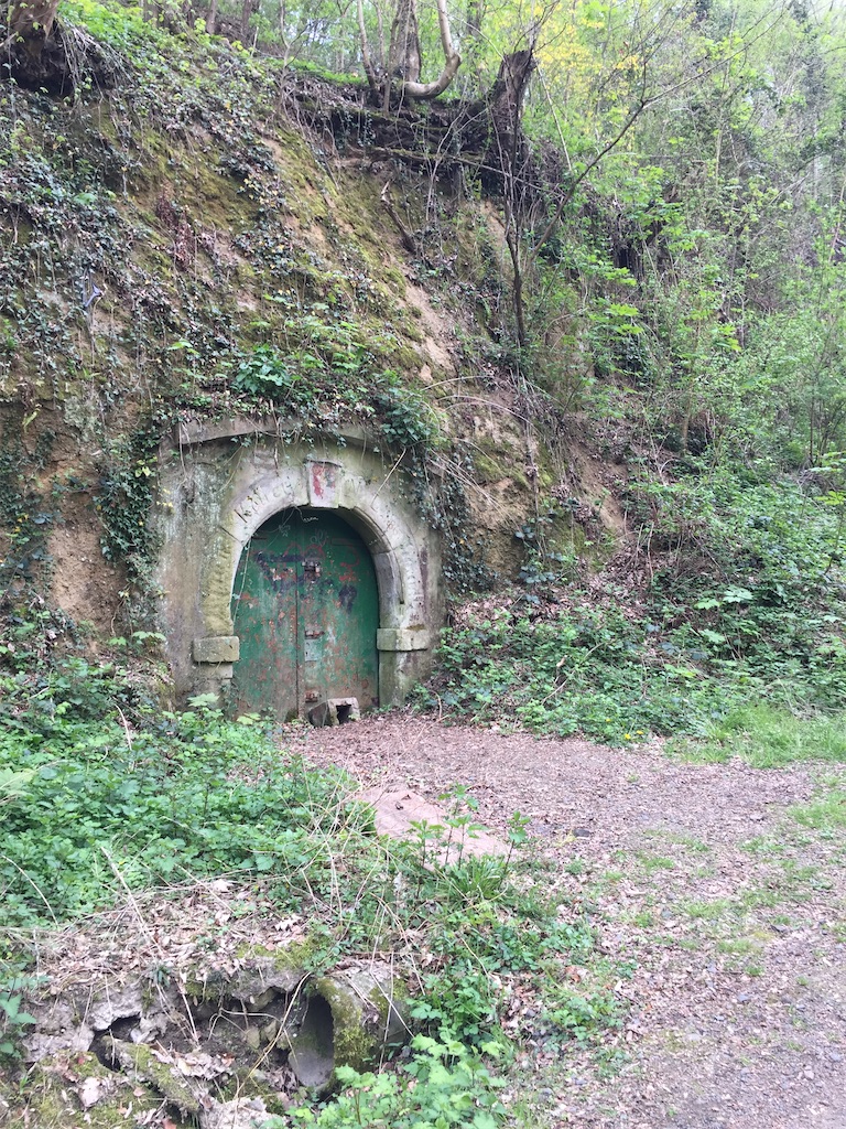 f:id:mugichaman:20210509190325j:image