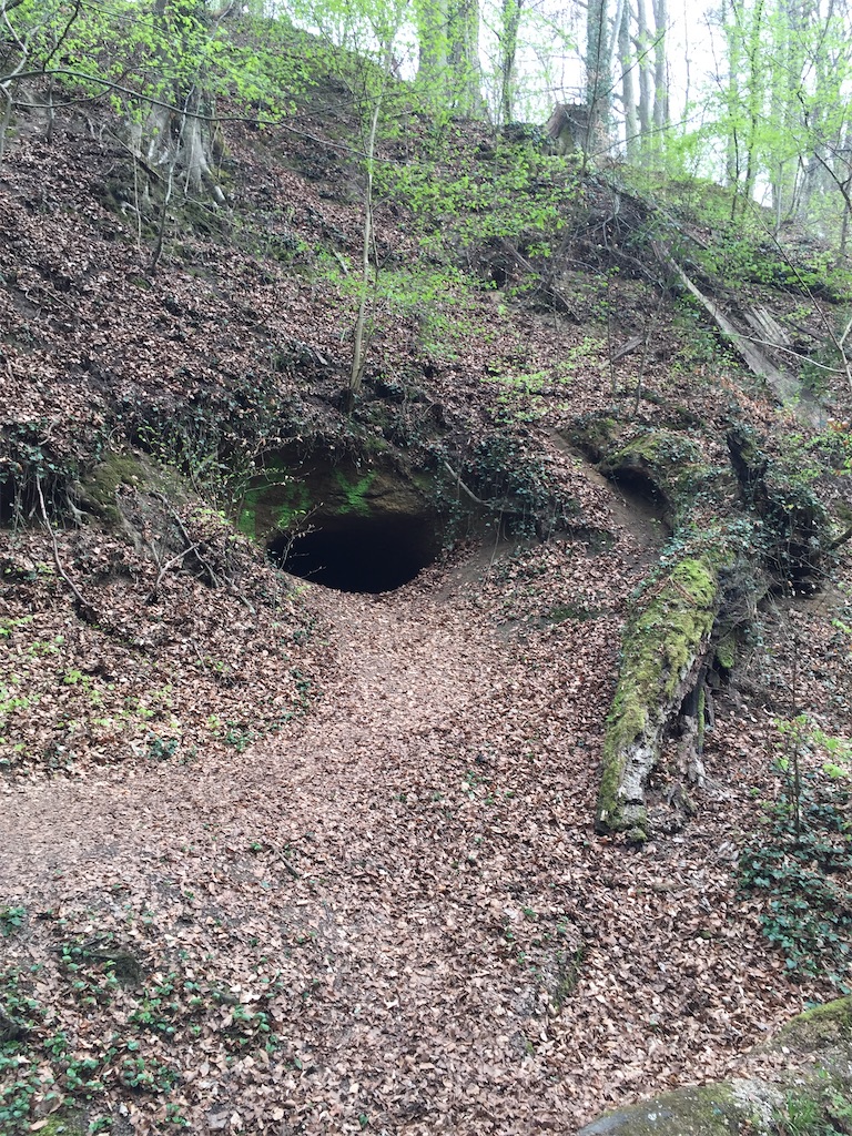 f:id:mugichaman:20210509190329j:image