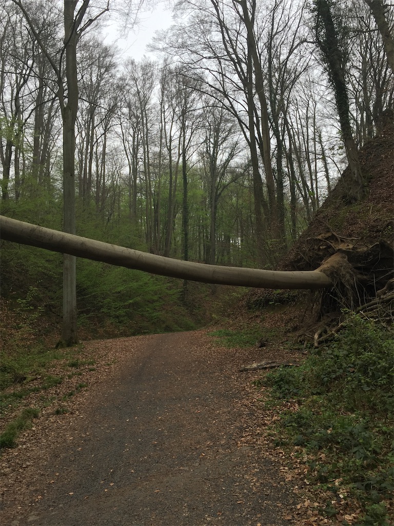 f:id:mugichaman:20210509190407j:image