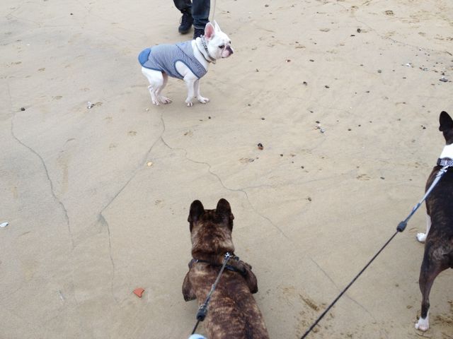 f:id:mugidai:20121112010855j:image f:id:mugidai:20121112010855j:image