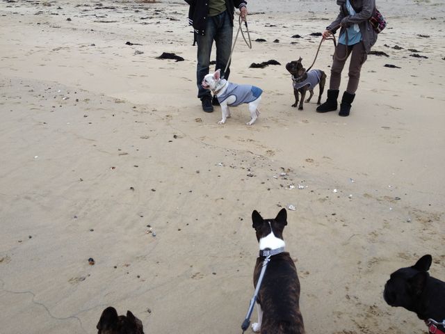 f:id:mugidai:20121112010856j:image f:id:mugidai:20121112010856j:image