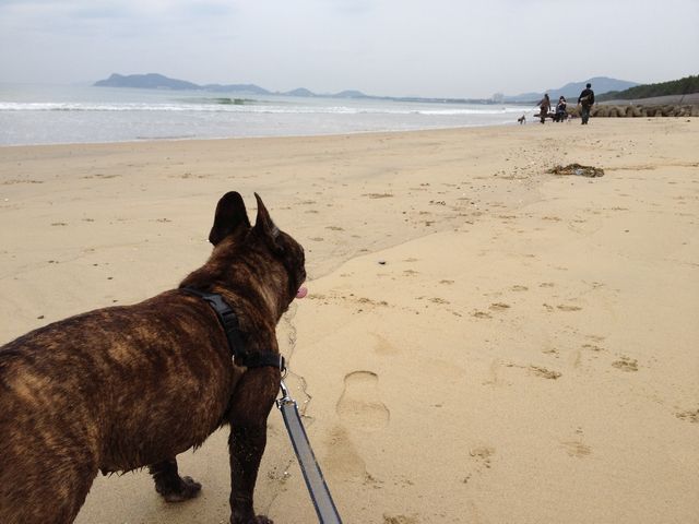 f:id:mugidai:20121112010857j:image f:id:mugidai:20121112010857j:image