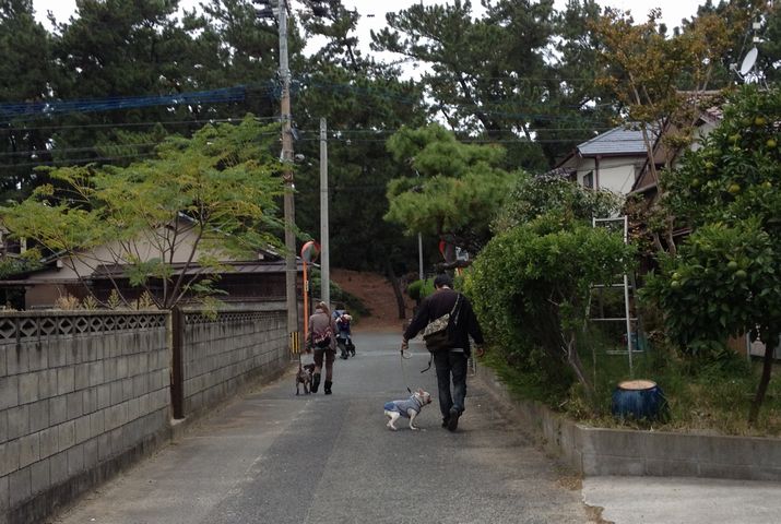 f:id:mugidai:20121112010858j:image f:id:mugidai:20121112010858j:image