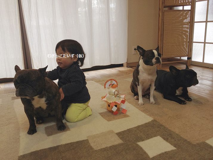 f:id:mugidai:20130102232218j:image f:id:mugidai:20130102232218j:image