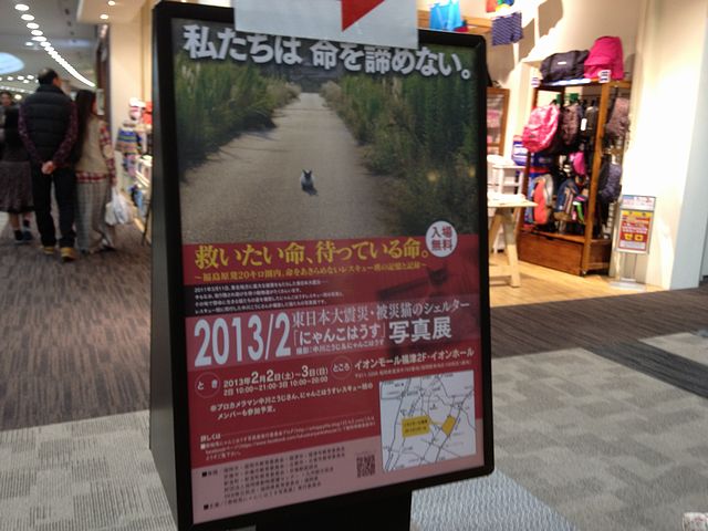 f:id:mugidai:20130207004948j:image f:id:mugidai:20130207004948j:image