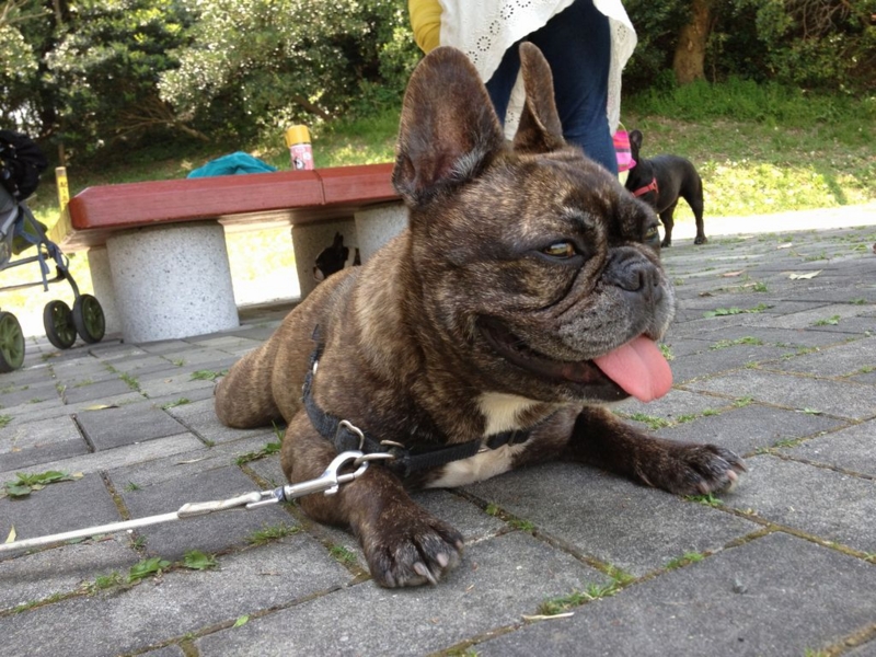 f:id:mugidai:20130513010452j:image f:id:mugidai:20130513010452j:image