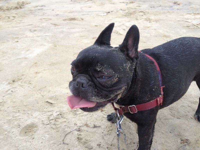 f:id:mugidai:20130610001218j:image f:id:mugidai:20130610001218j:image