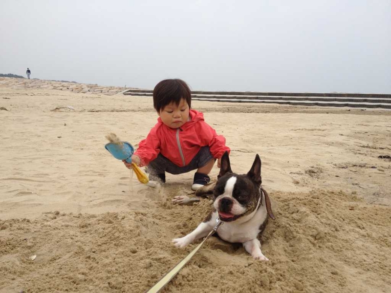 f:id:mugidai:20130610001221j:image f:id:mugidai:20130610001221j:image