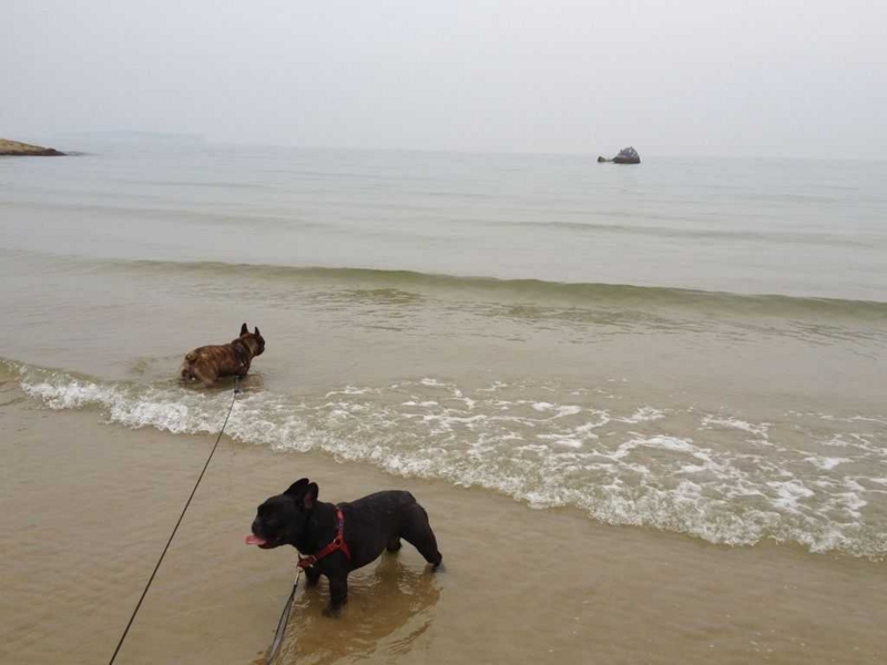 f:id:mugidai:20130610001223j:image f:id:mugidai:20130610001223j:image