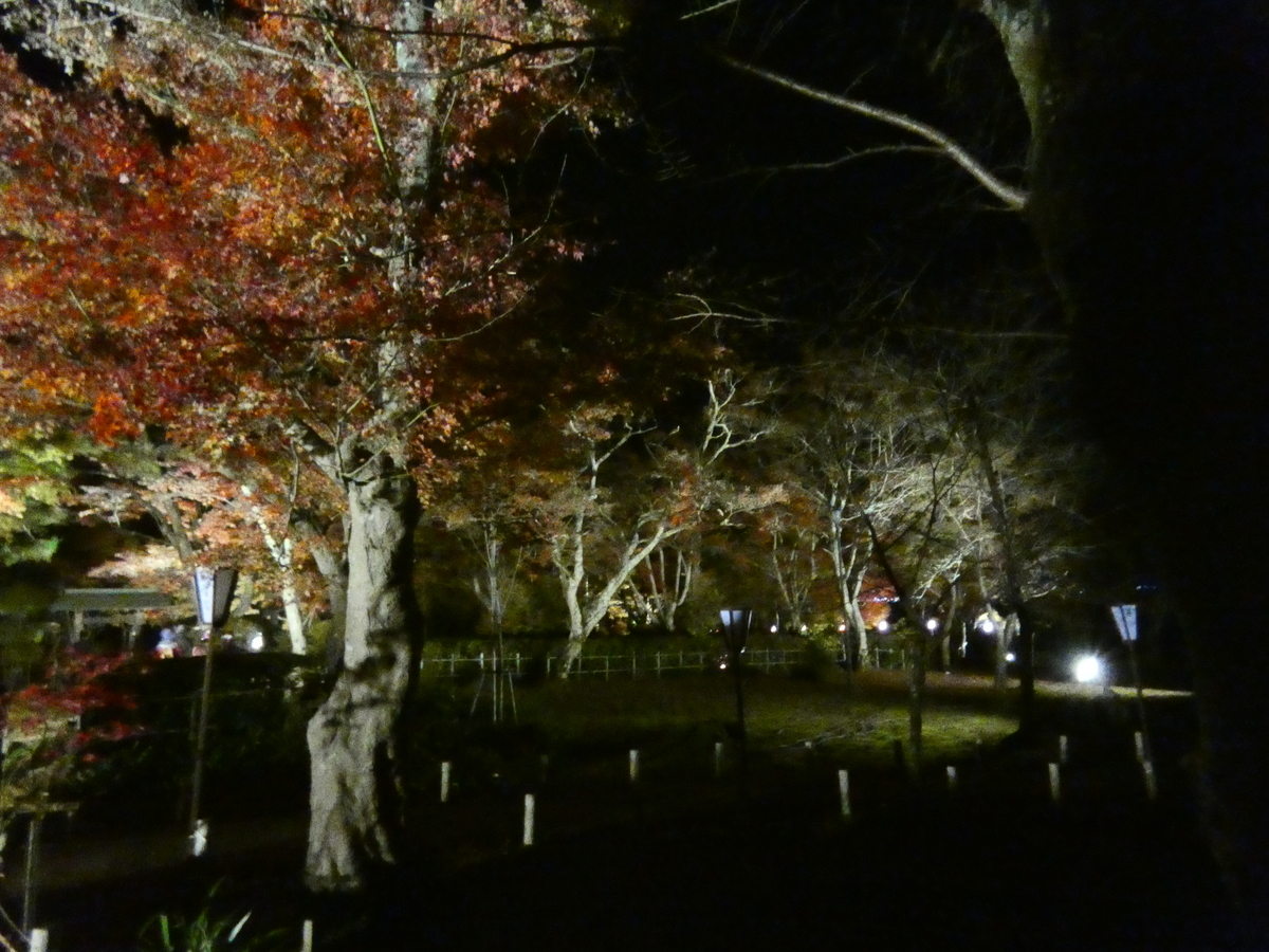 f:id:mugikoubou15:20210403162228j:plain