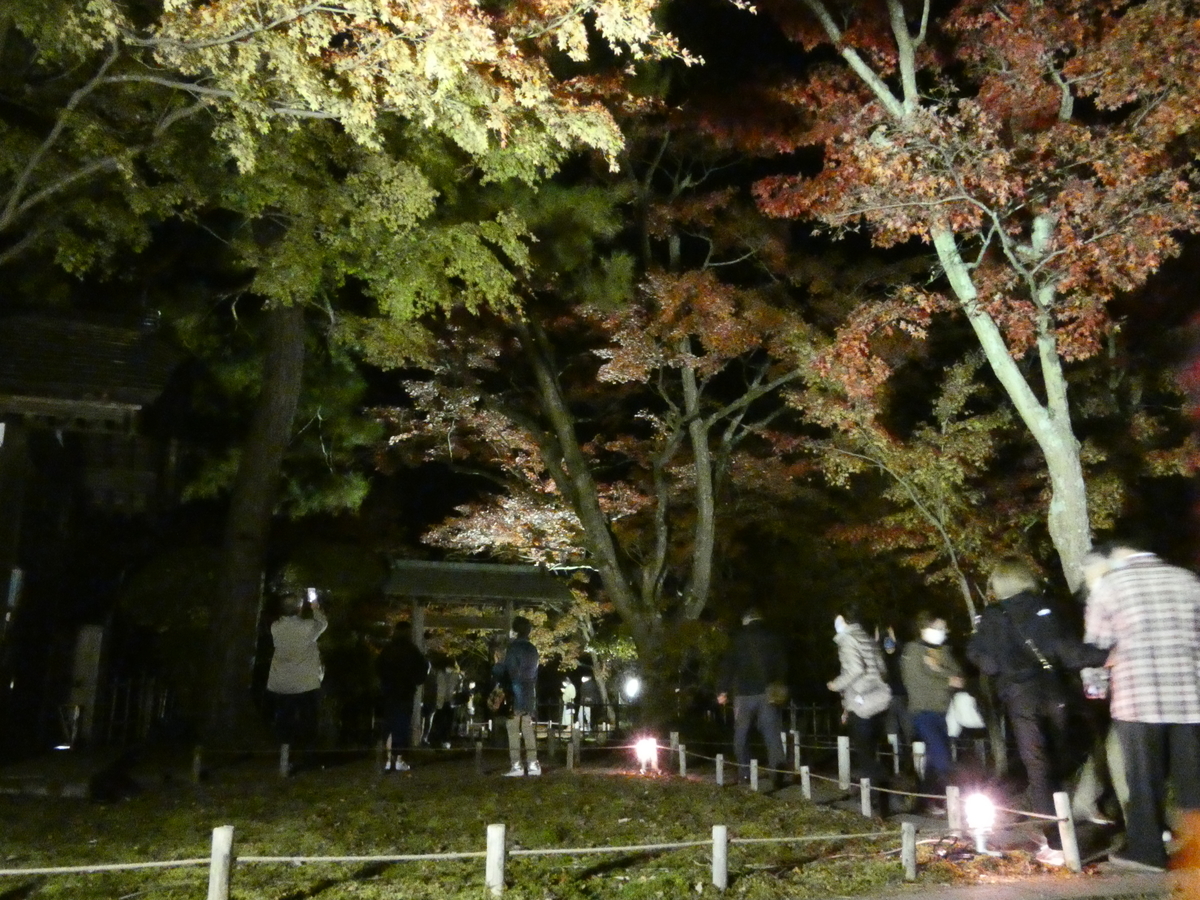 f:id:mugikoubou15:20210403162339j:plain