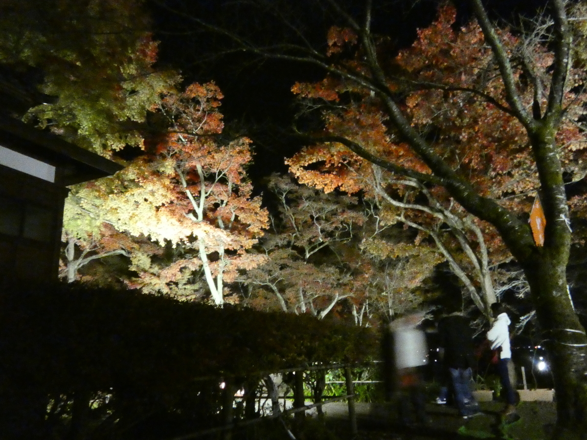 f:id:mugikoubou15:20210403162431j:plain