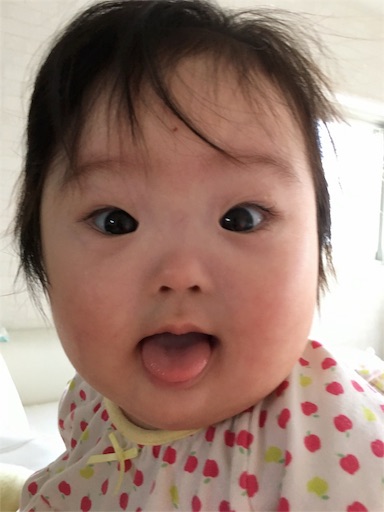 f:id:mugilove:20160614061902j:image