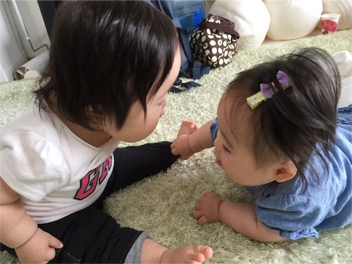 f:id:mugilove:20160614194552j:image