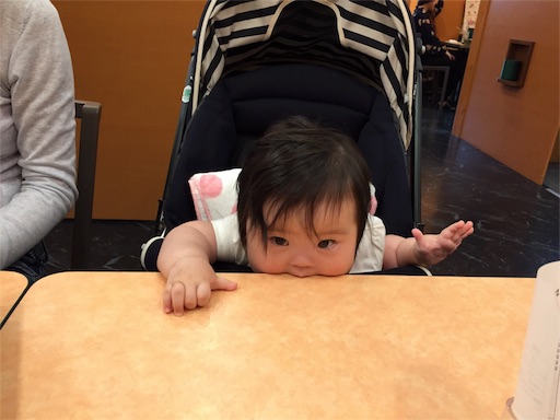 f:id:mugilove:20160614195318j:image