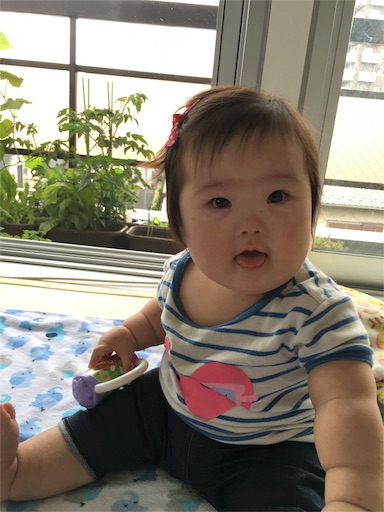 f:id:mugilove:20160624100055j:image f:id:mugilove:20160624100055j:image