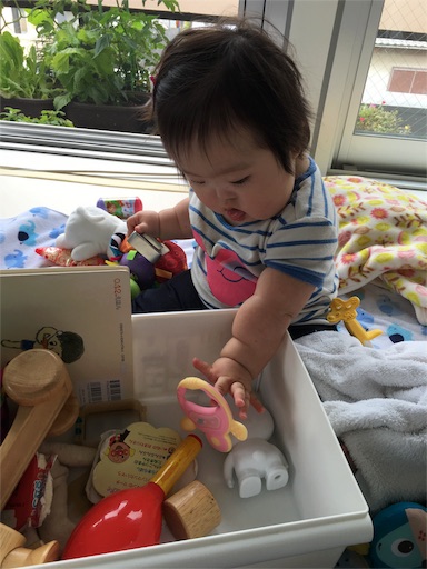 f:id:mugilove:20160624101410j:image f:id:mugilove:20160624101410j:image