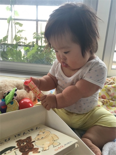 f:id:mugilove:20160624142948j:image f:id:mugilove:20160624142948j:image