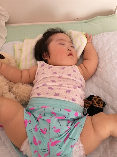 f:id:mugilove:20160703073628j:image f:id:mugilove:20160703073628j:image