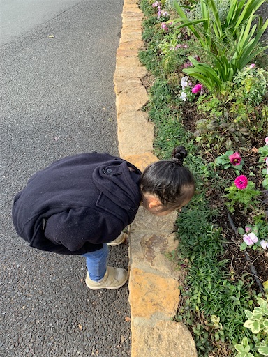 f:id:mugilove:20210202121822j:plain