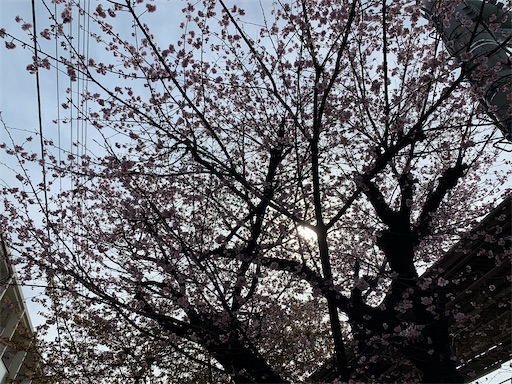 f:id:mugilove:20210308091408j:plain