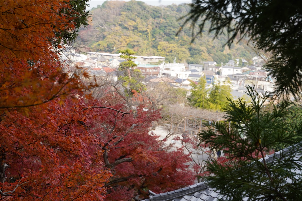 f:id:mugimugi0301:20210820121344j:image