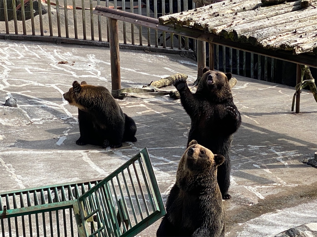 f:id:muginokurasi:20210619232618j:image f:id:muginokurasi:20210619232618j:image